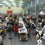 20101030-075504